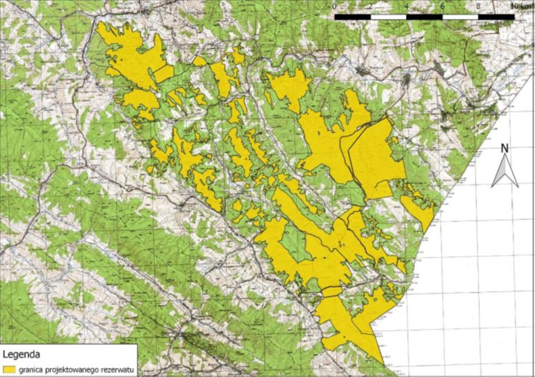 Lokalizacja i granice planowanego rezerwatu przyrody "Reliktowa Puszcza Karpacka"