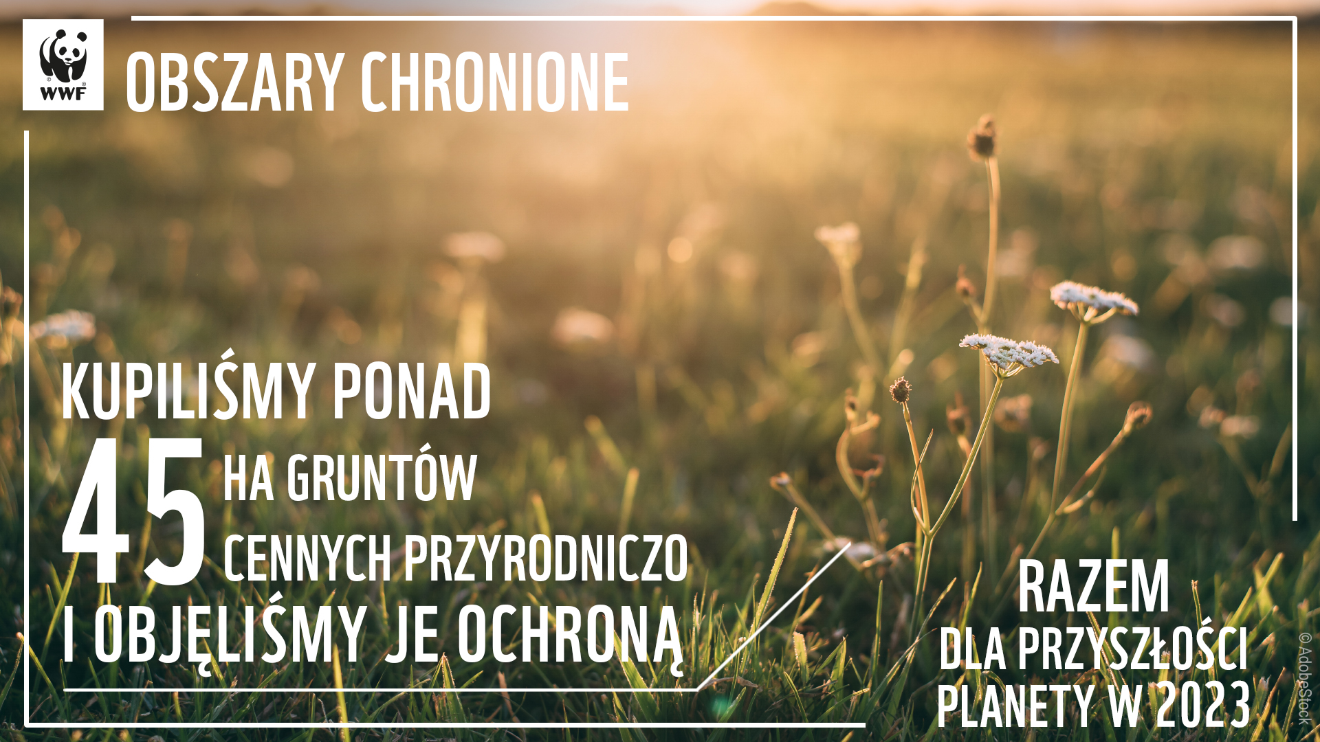 Podsumowanie 2024 obszary chronione