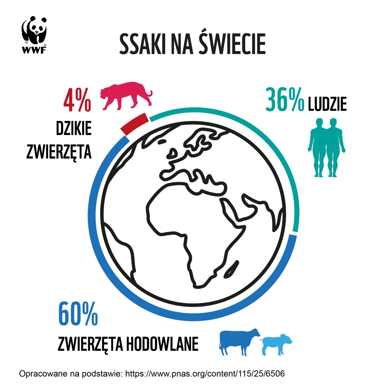 SSaki na świecie