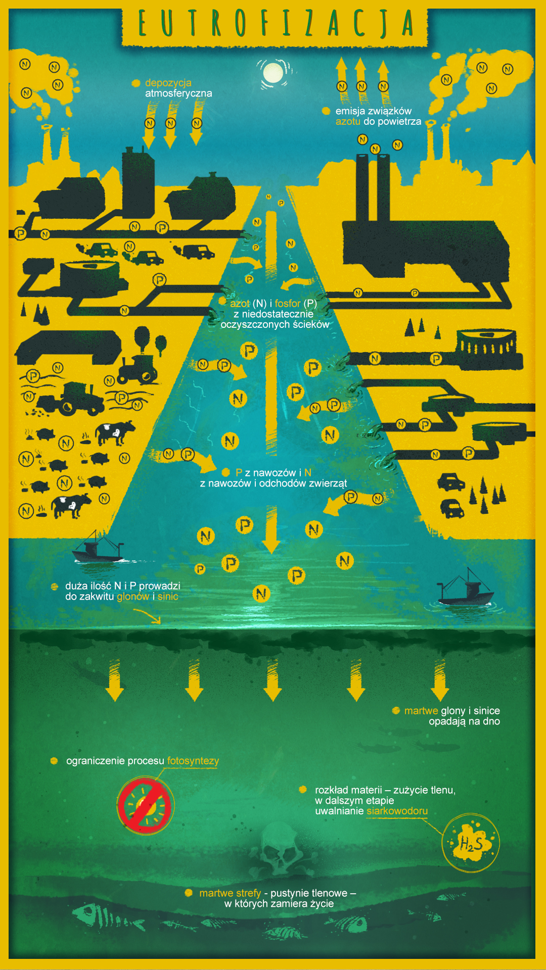 eutrofizacjainfografika