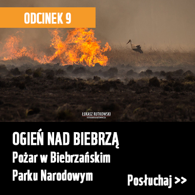 Ogień nad Biebrzą