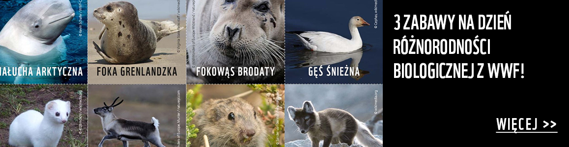 Bioróżnorodność
