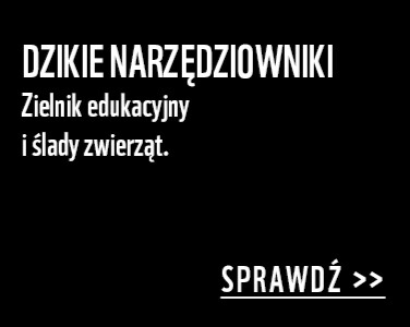 Dzikie narzędziowniki - edukacyjny zielnik i ślady zwierząt. Sprawdź