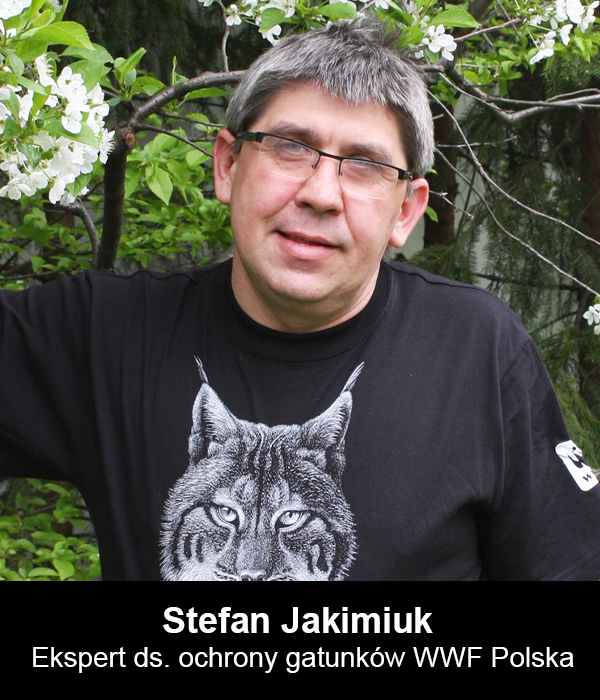 Stefan Jakimiuk ekspert WWF ds. ochrony gatunków