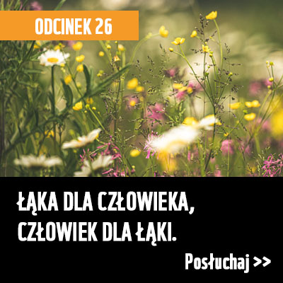 Łąki dla człowieka, człowiek dla łąk