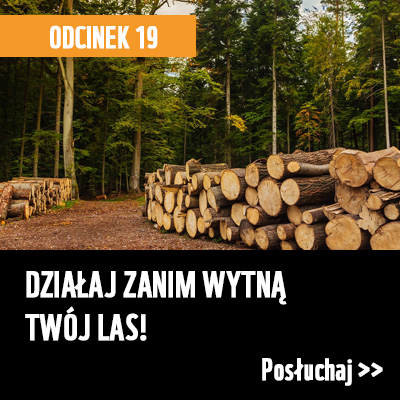 DZIAŁAJ ZANIM WYTNĄ TWÓJ LAS!