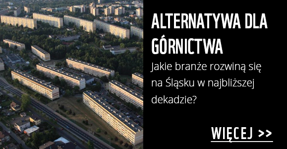 ALTERNATYWA DLA GÓRNICTWA Artykuł