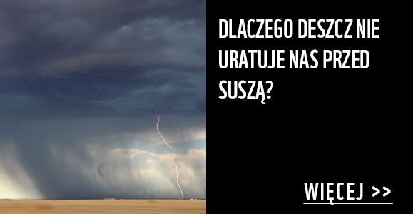 Dlaczego deszcz nie uratuje nas przed suszą