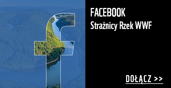 Facebook Strażnicy