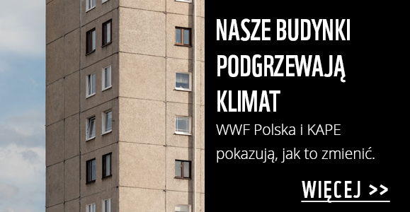 Nasze budynki podgrzewają klimat