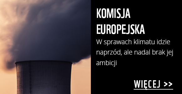 Komisja Europejska