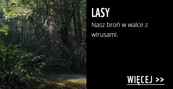 Lasy - walka z wirusami