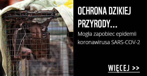 Ochrona przyrody