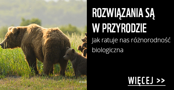 Różnorodność biologiczna