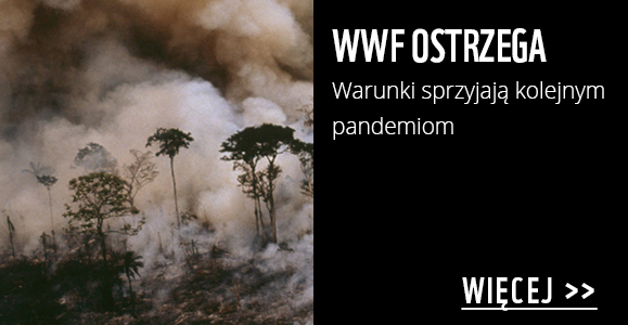 WWF ostrzega