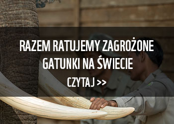 Zagrożone gatunki