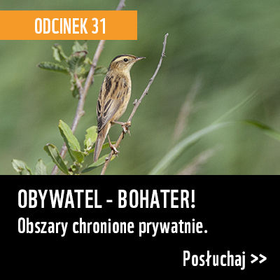 OBYWATEL - BOHATER! PODCAST NATURALNIE Z WWF - ODCINEK 31