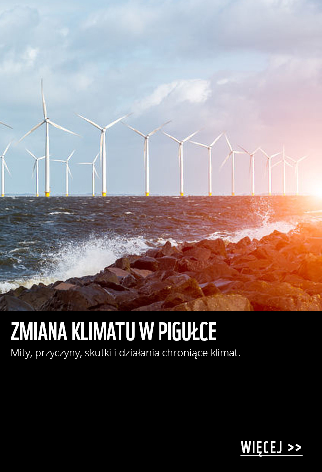 Zmiana klimatu w pigułce