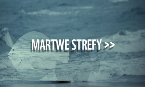 Martwe strefy