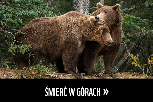 Śmierć w górach