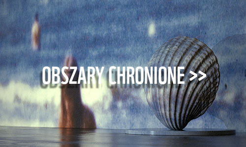 Obszary chronione