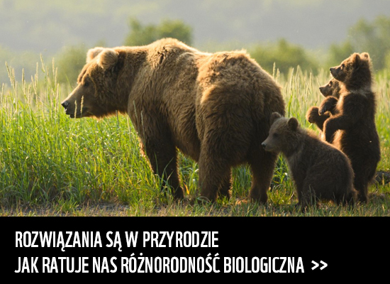 Różnorodność biologiczna