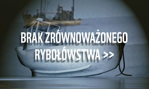 Zrównoważone rybołówstwo