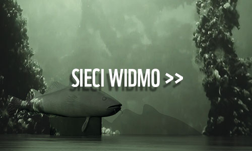 Sieci widmo