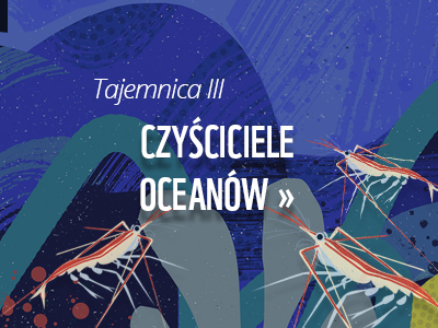 Czyściciele oceanów