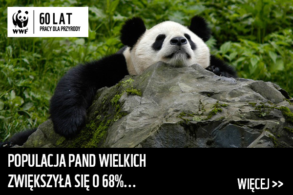 POPULACJA PAND WIELKICH ZWIĘKSZYŁA SIĘ O 68%... >>