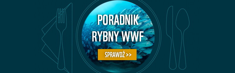 Poradnik Rybny WWF