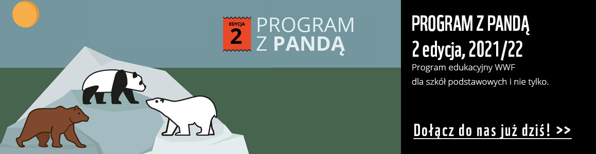 2. edycja Programu z Pandą