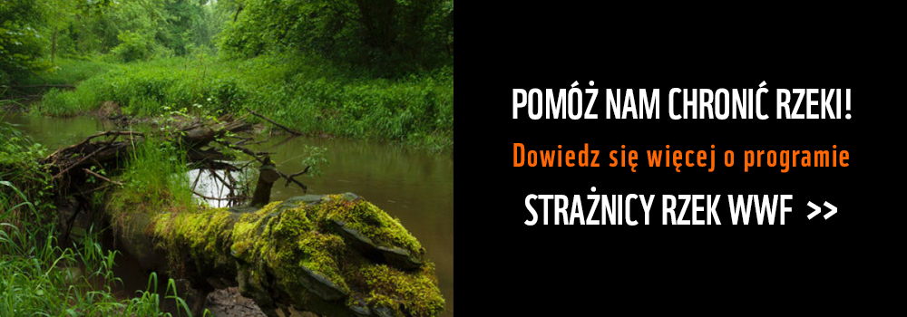 Strażnicy Rzek WWF