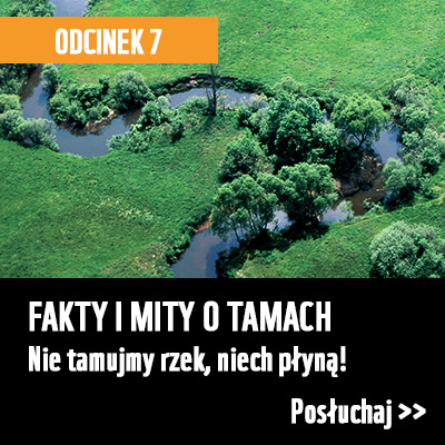 Odcinek 7