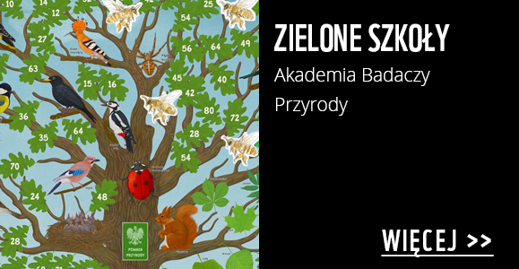 Zielone szkoły