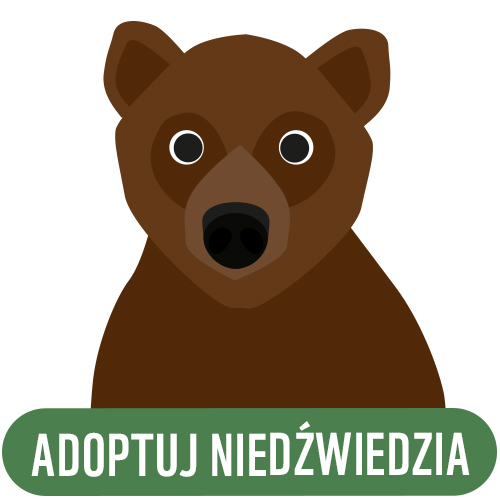 Adoptuj niedźwiedzia