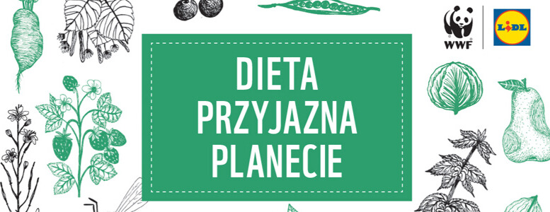 Dieta Przyjazna Planecie 1. edycja. Dowiedz się więcej