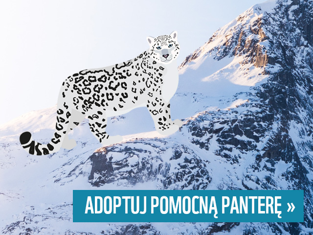 adoptuj pomocna pantere