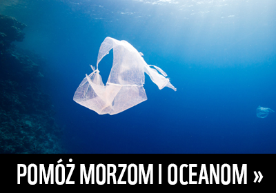 Pomóż morzom i oceanom