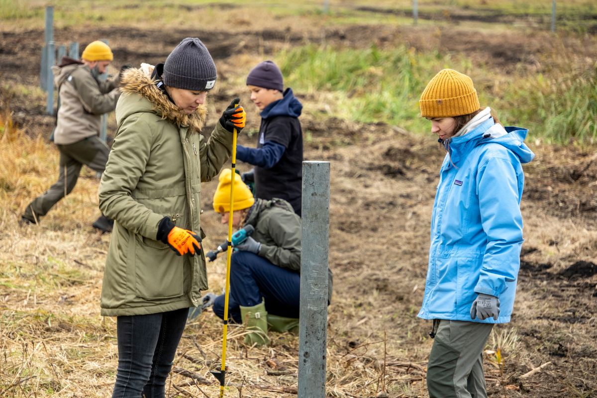 Prace w ramach wolontariatu