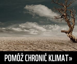 Chroń klimat