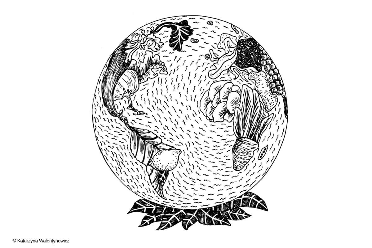 ilustracja dieta przyjazna planecie