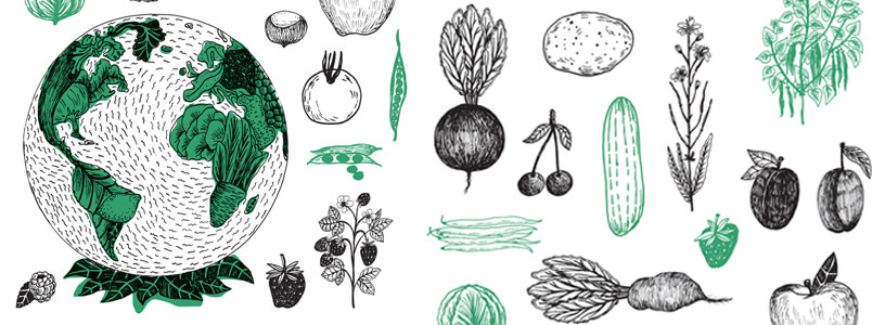 Dieta Przyjazna Planecie 4