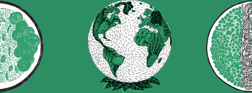 Dieta Przyjazna Planecie 3. edycja. Dowiedz się więcej