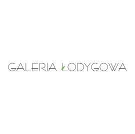 galeria lodygowa