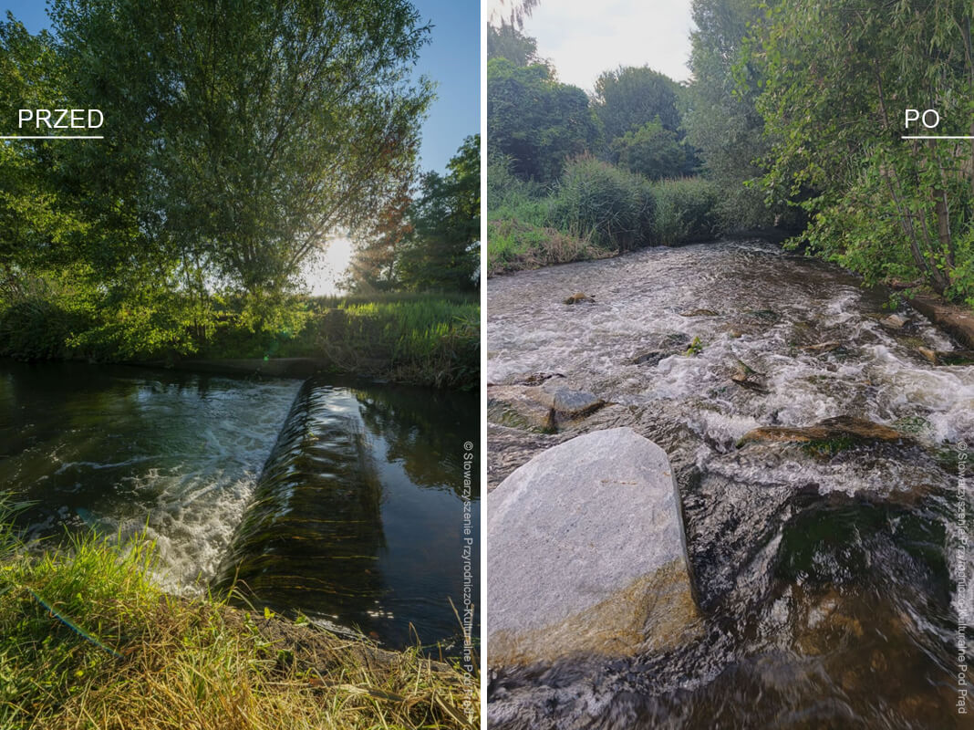 Rzeka Jemielnica - kolaż pokazujący stan rzeki przed i po renaturyzacji