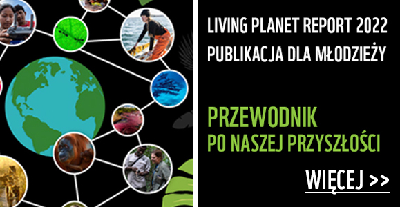 Living Planet Report 2022