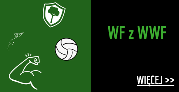 WF z WWF