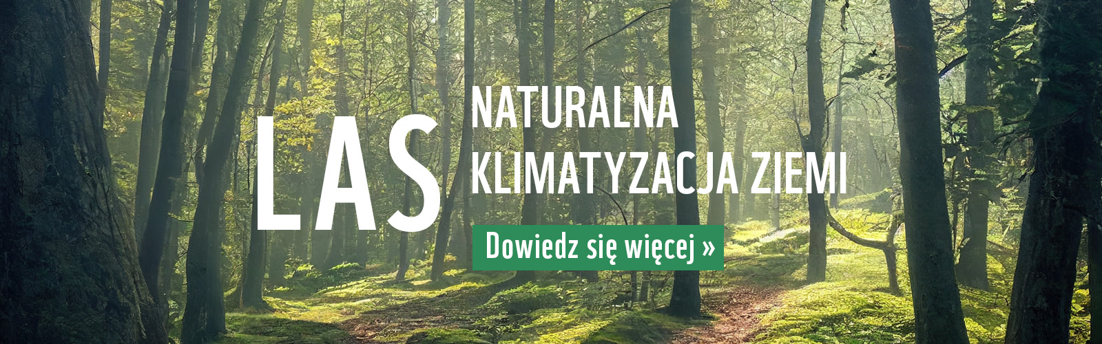 Las - naturalna klimatyzacja ziemi