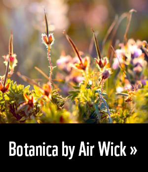 Botanica by Air Wick